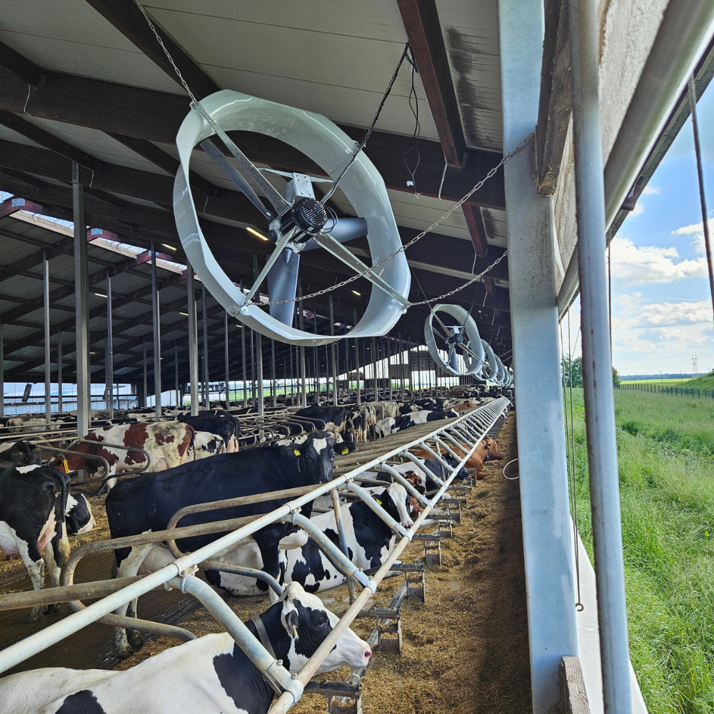 Ventilators Boreal Flow 55